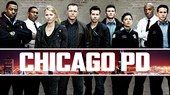芝加哥警署第一季