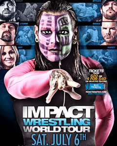 TNA世界重量级冠军赛