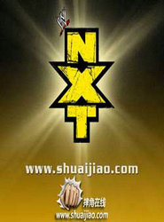 美国摔跤联盟NXT2014