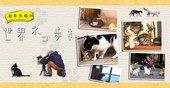 岩合光昭の猫步走世界~津轻的四季秋冬特別篇
