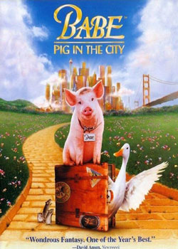 猪进城