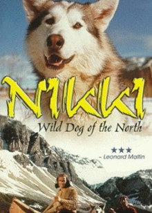 尼基：北方的野狗