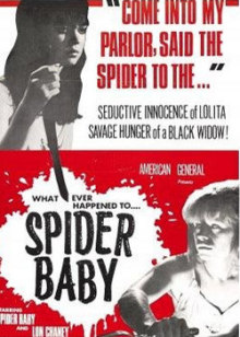 蜘蛛宝宝,或你所听说过最疯狂的故事