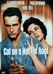 热铁皮屋顶上的猫