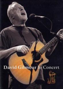 david gilmour in concert