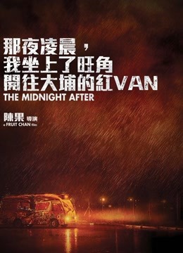 那夜凌晨,我坐上了旺角开往大埔的红Van