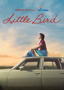 Little Bird第一季